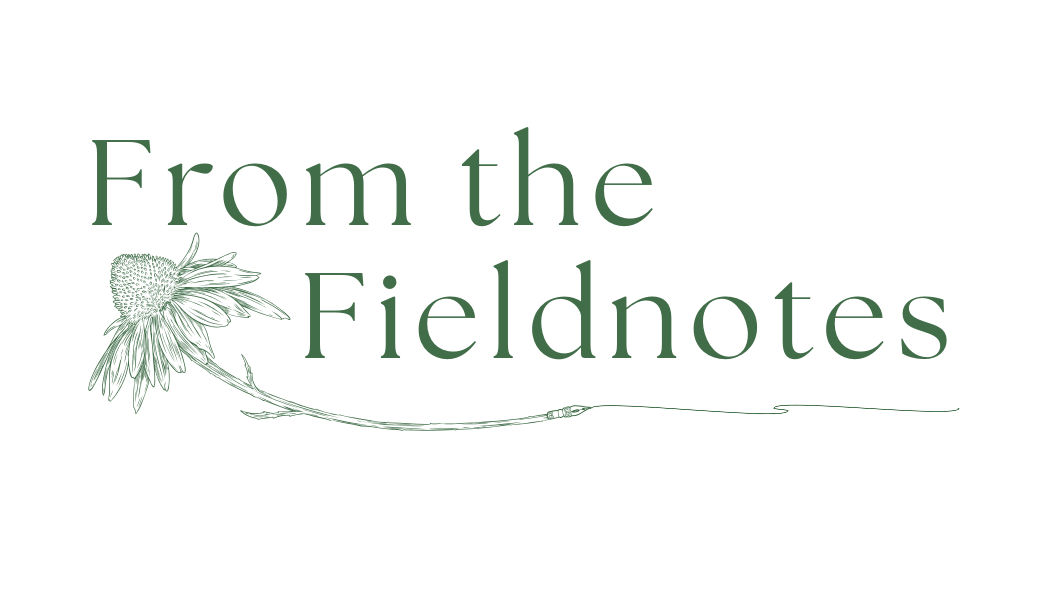 From the Fieldnotes Copywriting